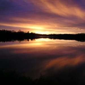 Meet your Posher, Dawn